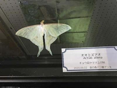 つれづれ日記 つれづれ日記