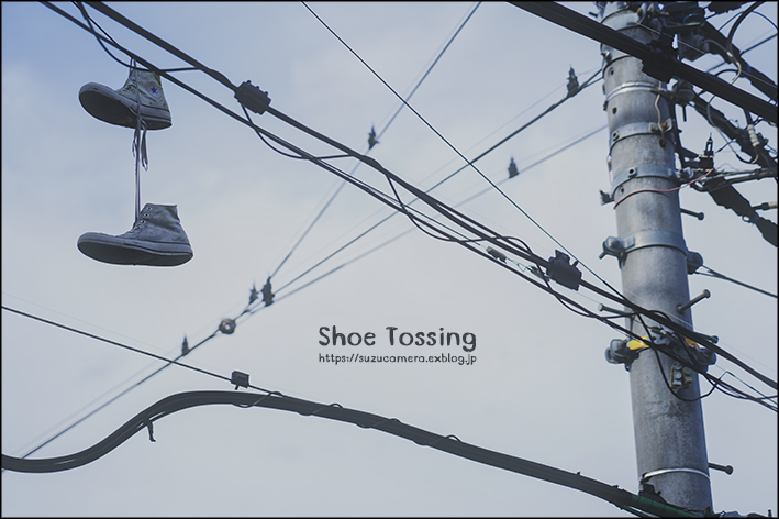 Shoe Tossing : すずちゃんのカメラ！かめら！camera！