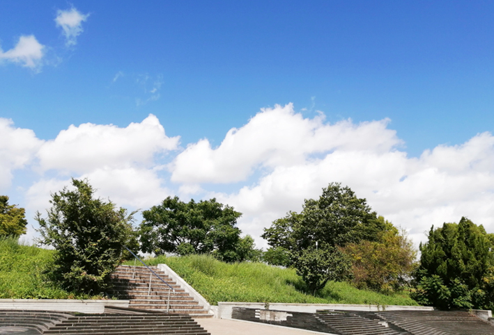 ウォーキングとパン屋さん_d0351435_16490578.jpg