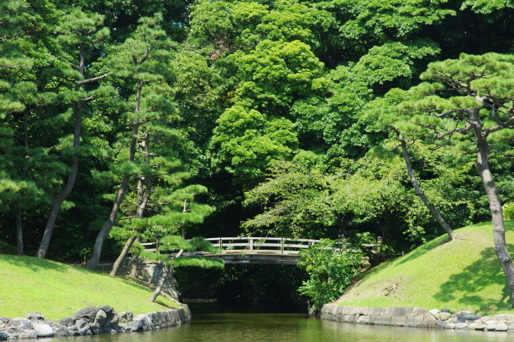 中島のお茶屋にて_d0185744_18120172.jpg