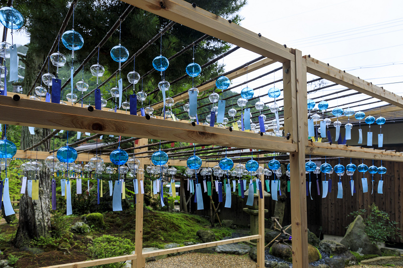 風鈴まつり2020（宇治田原・正壽院）_f0155048_22245759.jpg