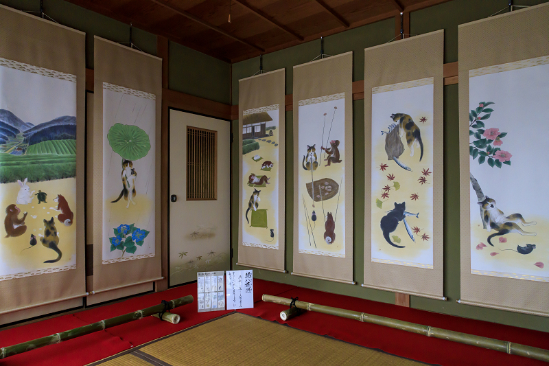 風鈴まつり2020（宇治田原・正壽院）_f0155048_22273923.jpg