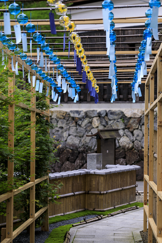 風鈴まつり2020（宇治田原・正壽院）_f0155048_223057100.jpg