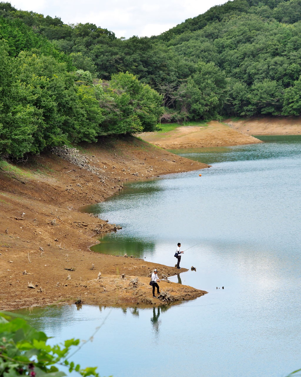 竹沼でブラ小父さま 9月中旬編_c0305565_17345303.jpg