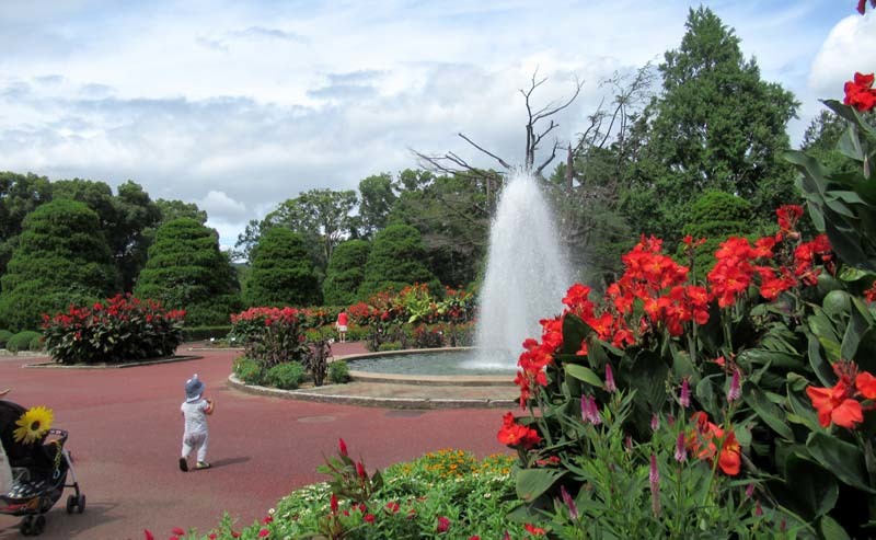 植物園　花色々_e0048413_22373634.jpg