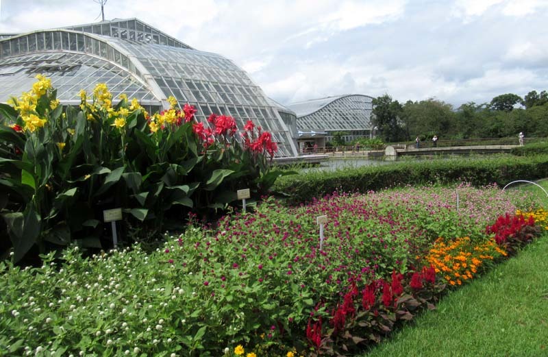 植物園　花色々_e0048413_22380367.jpg