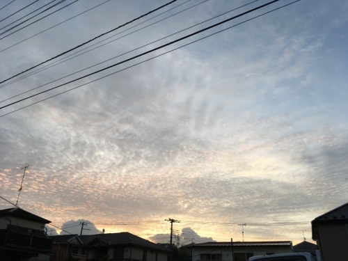 びっくりバスピカピカ グレー_f0369014_09321684.jpeg