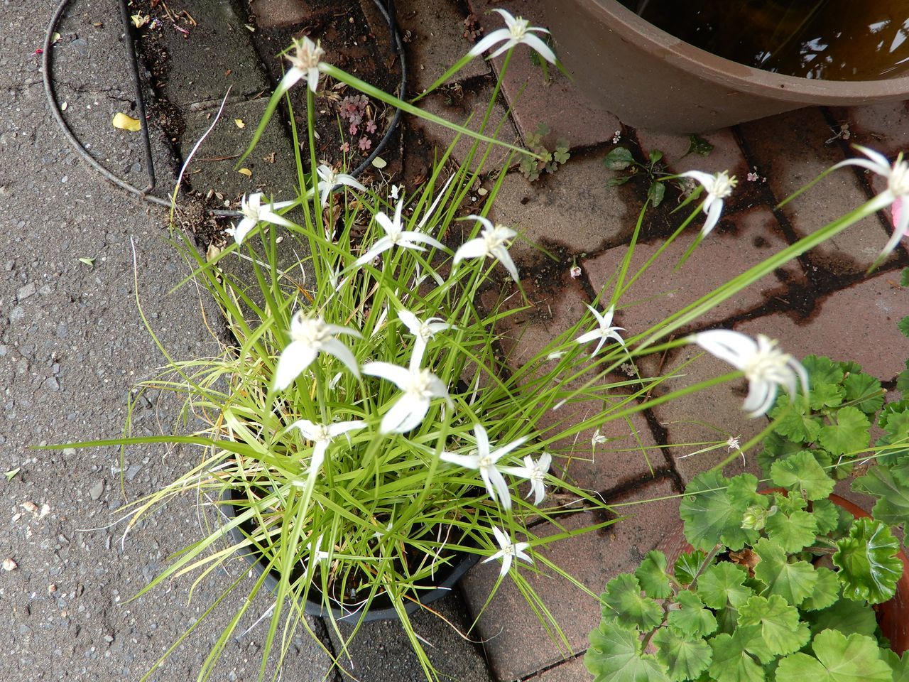 雨はこれから_c0025115_22340216.jpg