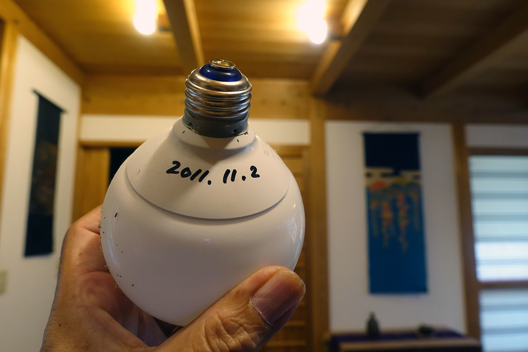 ワタシ Led電球 絵で見るカメラ Plus ワタシ Led電球 絵で見るカメラ Plus