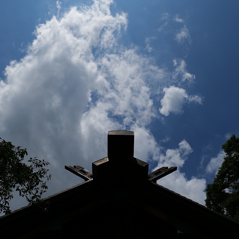 栃木の旅 その3 LUMIX S5_f0050534_22024003.jpg