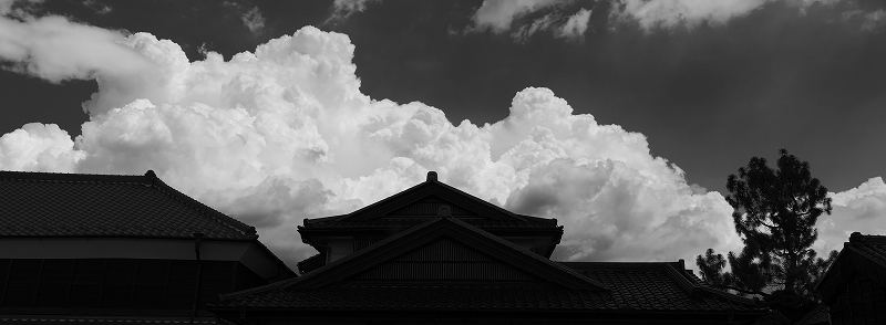 栃木の旅 その3 LUMIX S5_f0050534_22025466.jpg