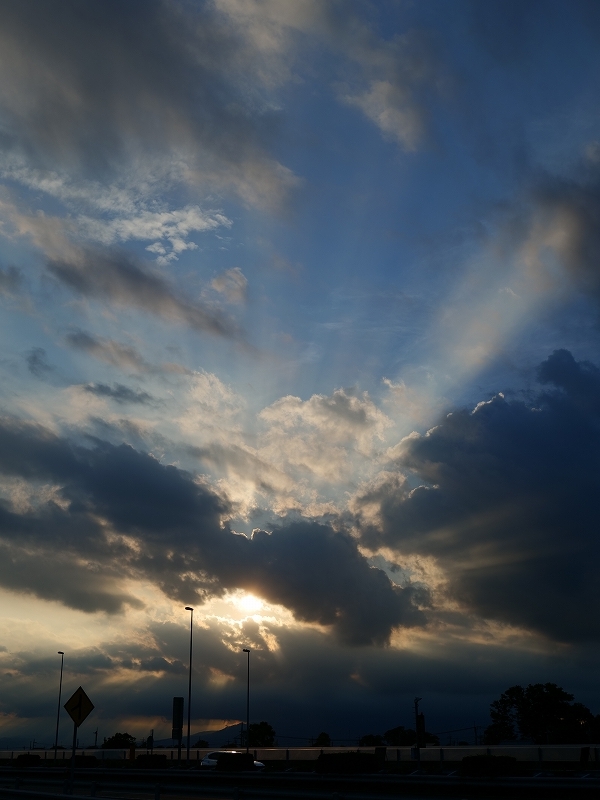 栃木の旅 その3 LUMIX S5_f0050534_22151941.jpg