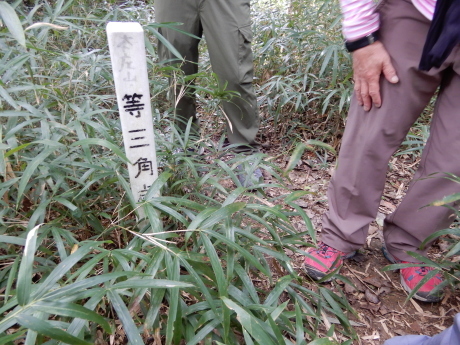 金鳥山~打越山~十文字山(東灘区の五山歩き)_c0218841_10025045.jpg