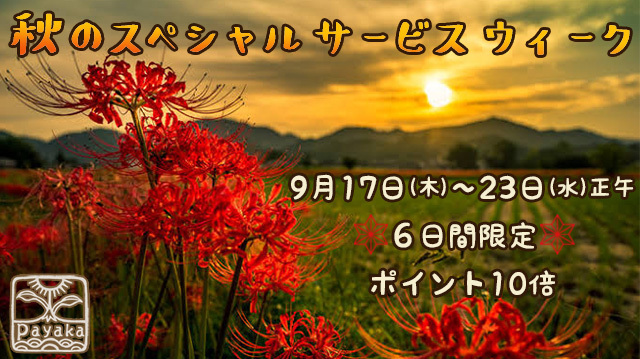 秋のスペシャルサービスウィーク!_a0252768_16090645.jpg