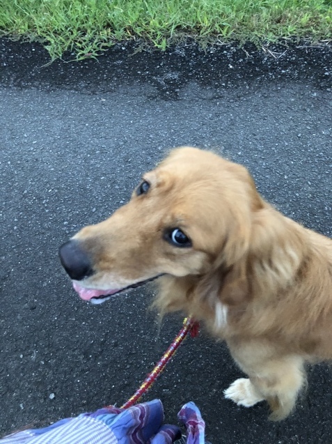 新内閣発足。_a0394574_20520631.jpeg
