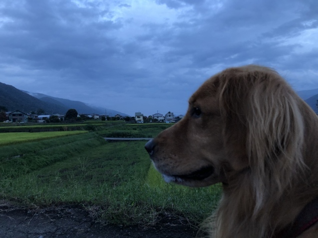 出遭い。_a0394574_23193173.jpeg