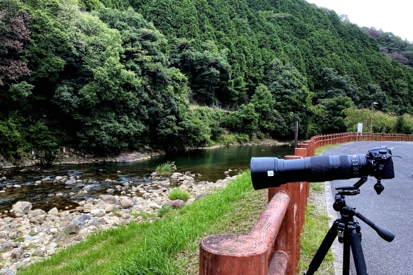 奈良のお山で_c0164881_18355282.jpg