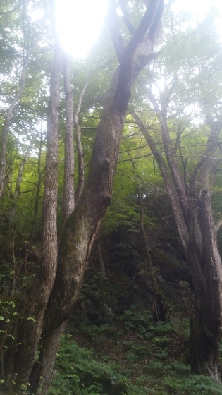 隠れ名水の紹介。_b0219993_08340526.jpg