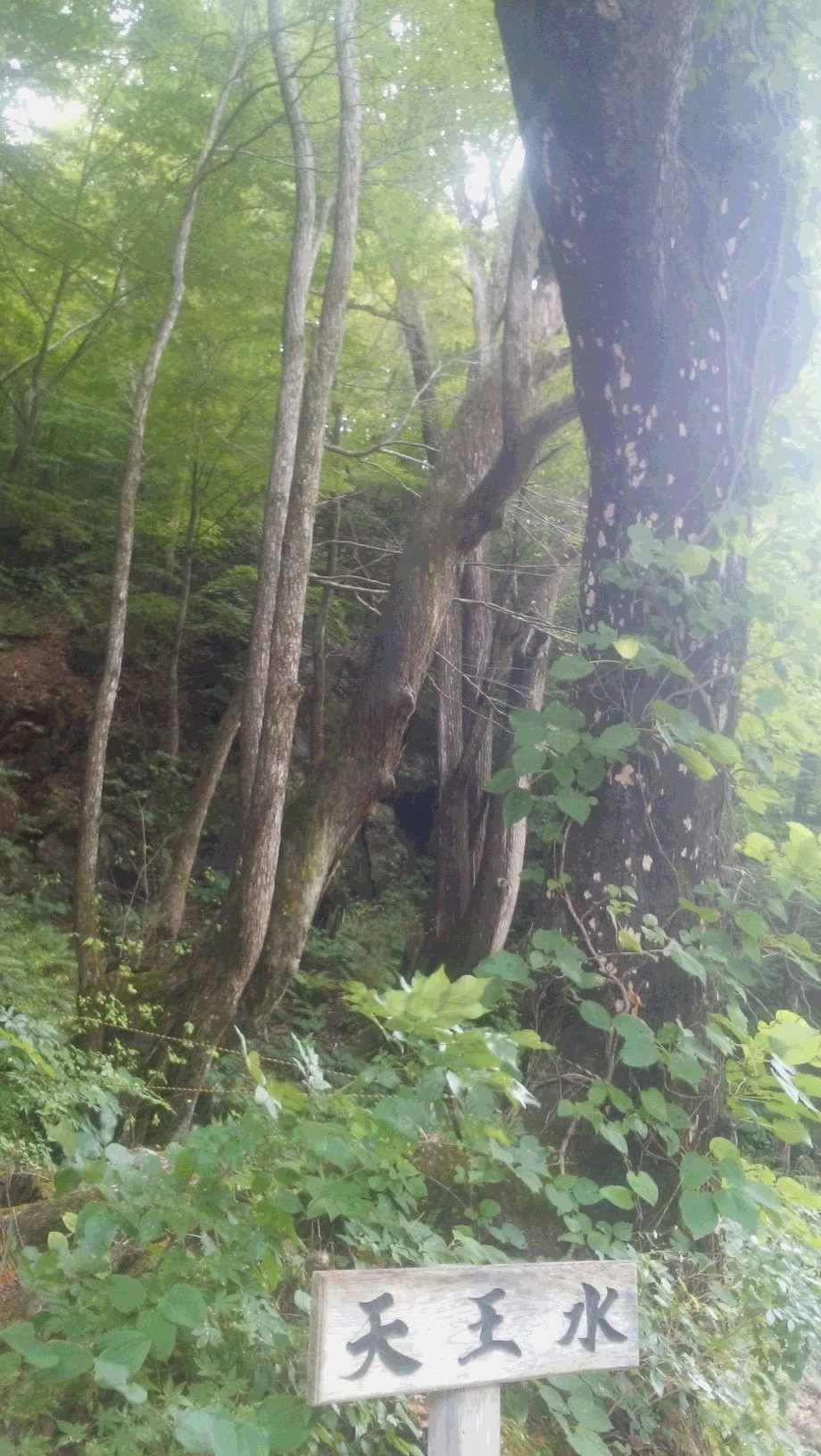 隠れ名水の紹介。_b0219993_08361220.jpg