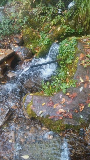 隠れ名水の紹介。_b0219993_08420172.jpg