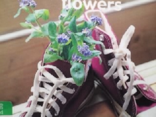 単純で純粋な男性の婚活_a0283796_13501682.jpg