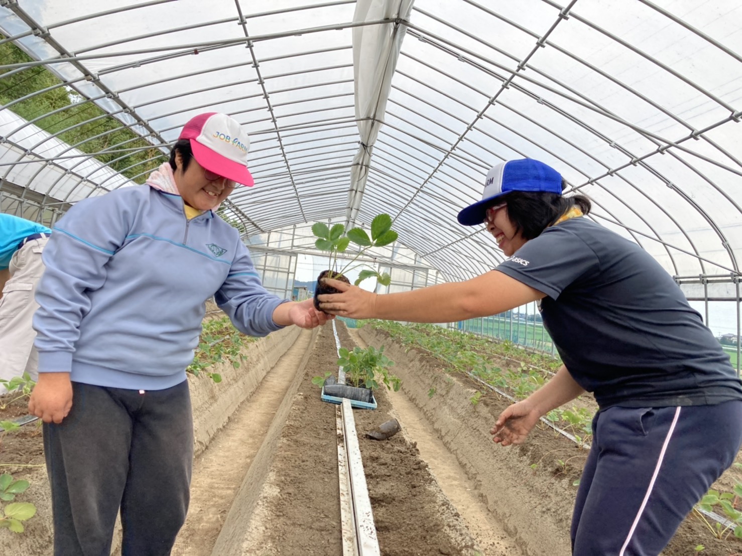 地域貢献型農福連携請負作業    地福連携請負作業　など_e0270198_16435998.jpg