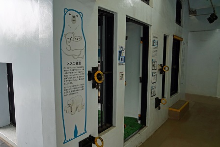 よこはま動物園(野毛山動物園 & ズーラシア)の苦闘の繁殖記録 ~ 健闘の野毛山動物園、不毛なズーラシア_a0151913_1165144.jpg