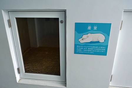 よこはま動物園(野毛山動物園 & ズーラシア)の苦闘の繁殖記録 ~ 健闘の野毛山動物園、不毛なズーラシア_a0151913_12241.jpg