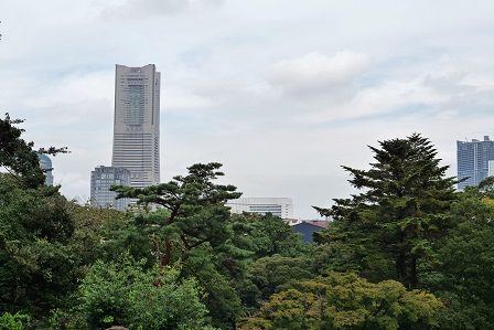 よこはま動物園(野毛山動物園 & ズーラシア)の苦闘の繁殖記録 ~ 健闘の野毛山動物園、不毛なズーラシア_a0151913_1371228.jpg