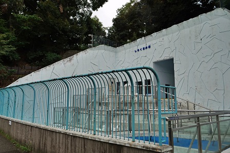よこはま動物園(野毛山動物園 & ズーラシア)の苦闘の繁殖記録 ~ 健闘の野毛山動物園、不毛なズーラシア_a0151913_1424622.jpg