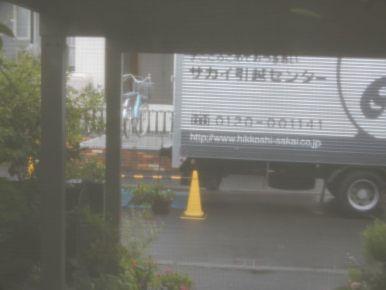 50年ぶりの再会_c0025115_23331959.jpg