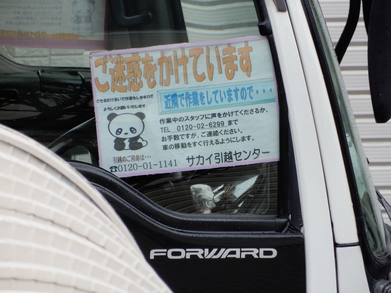 50年ぶりの再会_c0025115_23342370.jpg