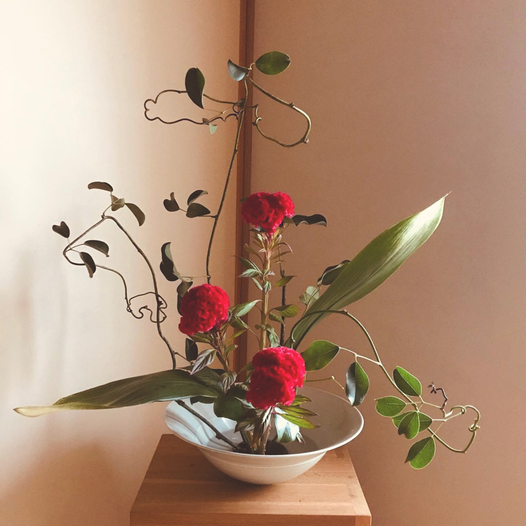つる性植物を活ける 自然を見つめて自分と向き合う心の花 つる性植物を活ける 自然を見つめて自分と向き合う心の花