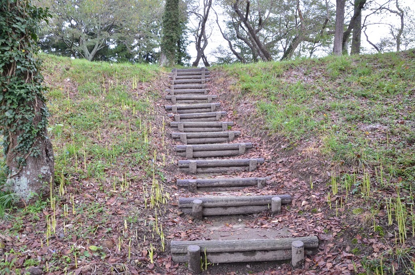 お彼岸に咲かない彼岸花 栗駒山の里だより