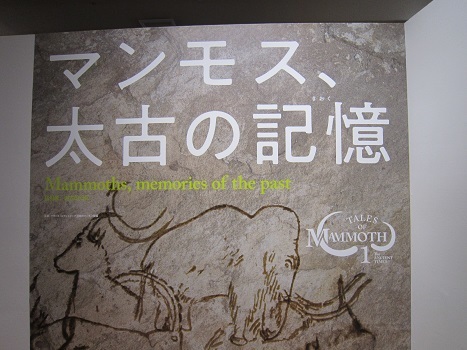 マンモス展~🎶_b0177436_22255951.jpg