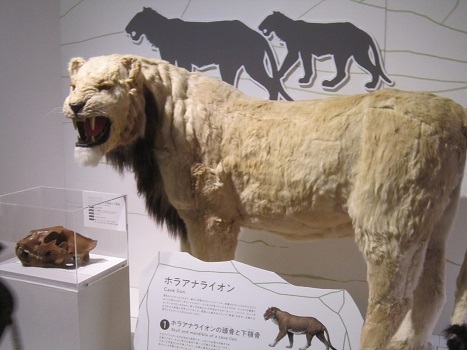 マンモス展~🎶_b0177436_22295010.jpg