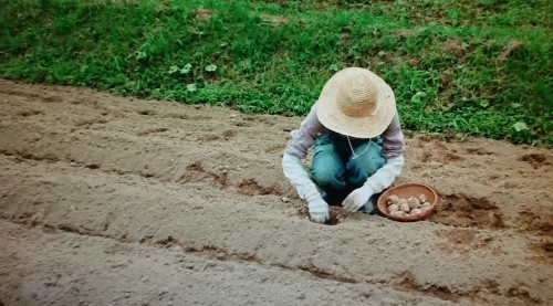 母の自給自足生活は 思い出すのも辛くて 楽しく元気に暮らします