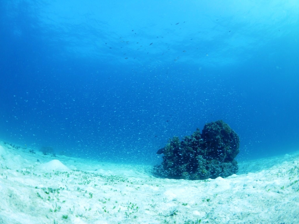 美しい砂地エリアで癒されまくり~(#^^#)_a0189838_19453249.jpg