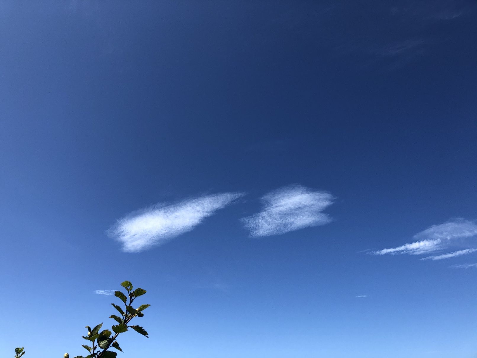 登山　2020年8月19日　北海道　道東　雄阿寒岳_b0187142_16152821.jpg