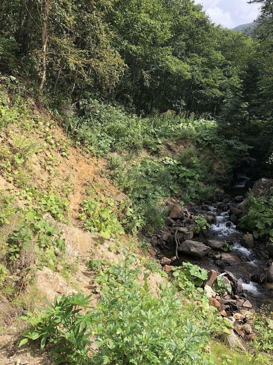 登山　2020年8月28日　北海道　北大雪　武華山_b0187142_17062884.jpg