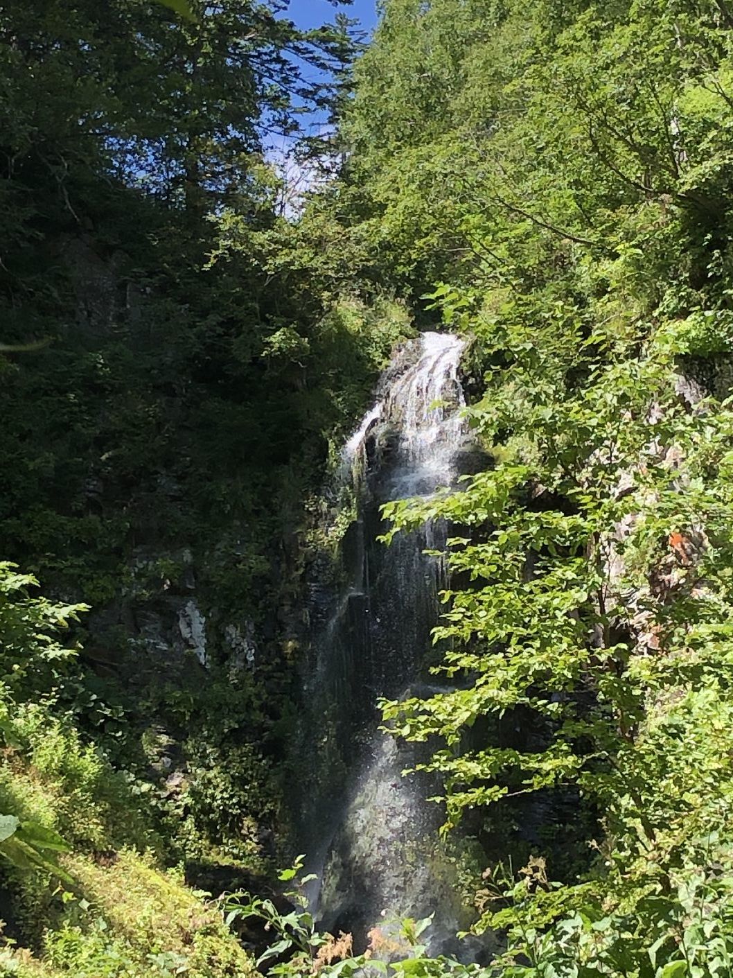 登山　2020年9月2日　北海道　北大雪　平山_b0187142_17473838.jpg