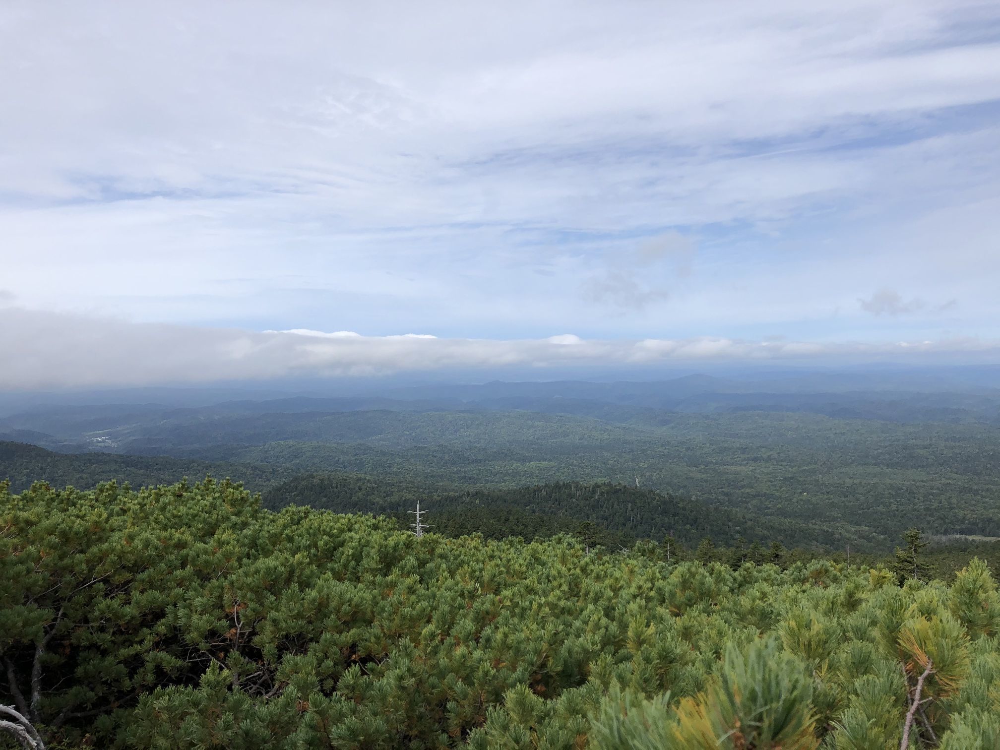登山 年9月 北海道 道東 雌阿寒岳 フクちゃんのフライ日記 登山 年9月 北海道 道東 雌阿寒岳 フクちゃんのフライ日記
