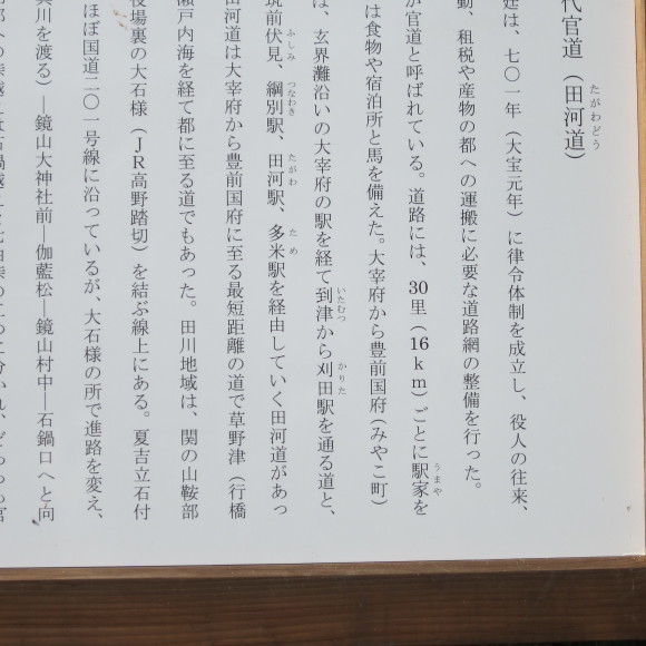 香春岳にアサギマダラが来る季節になりました。_a0237545_22325651.jpg