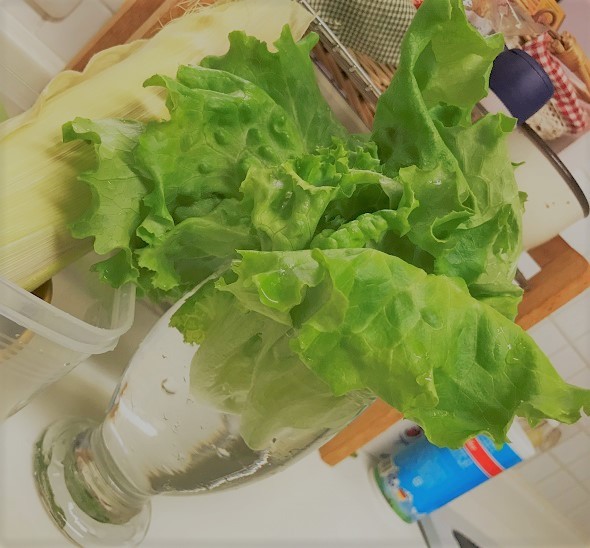 まとめ買い_a0398864_19000591.jpg