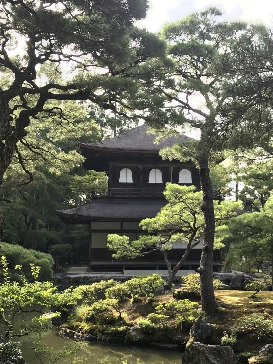 京都・奈良一人旅_b0034072_20294785.jpg