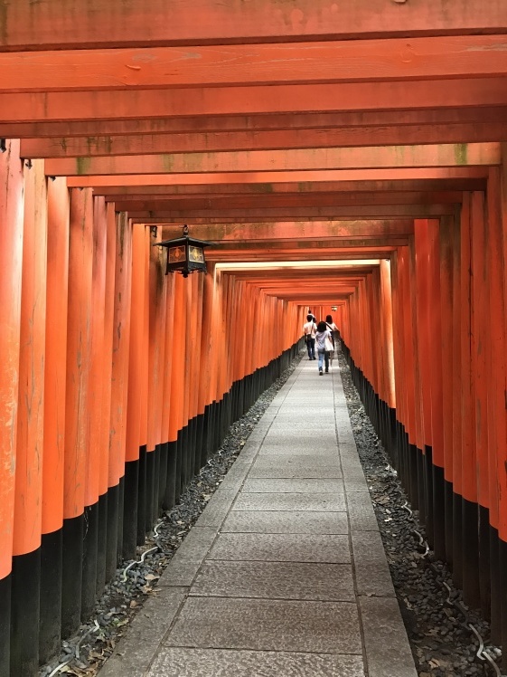 京都・奈良一人旅_b0034072_21243009.jpg