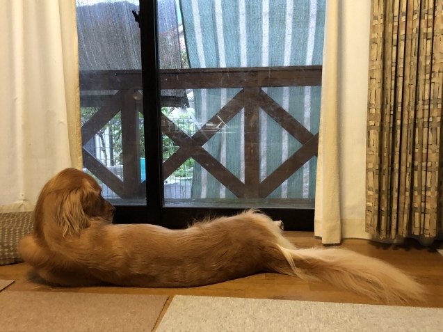 ７連勤。_a0394574_07252162.jpeg