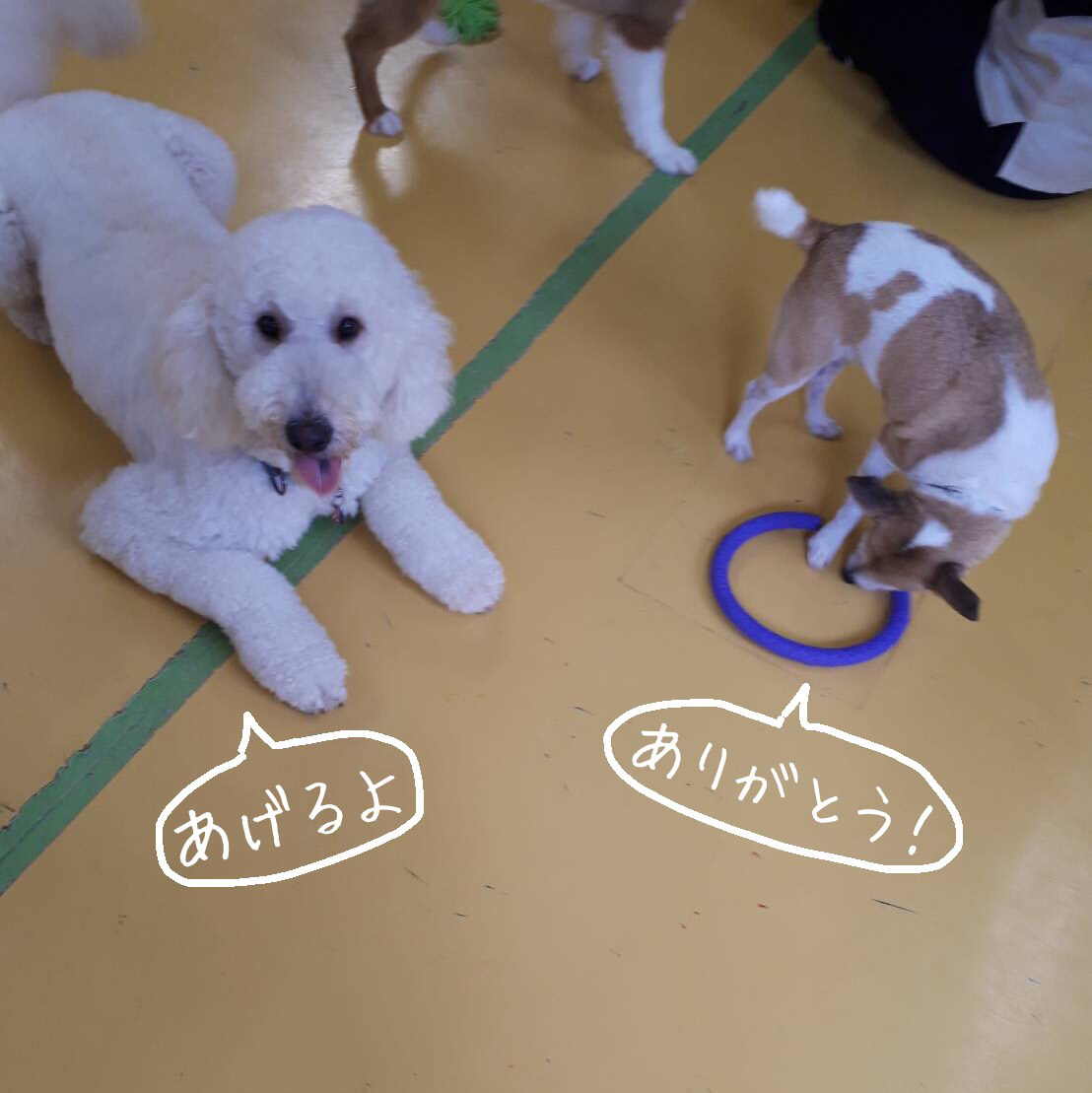 仲良し❣️_f0357682_02074000.jpg