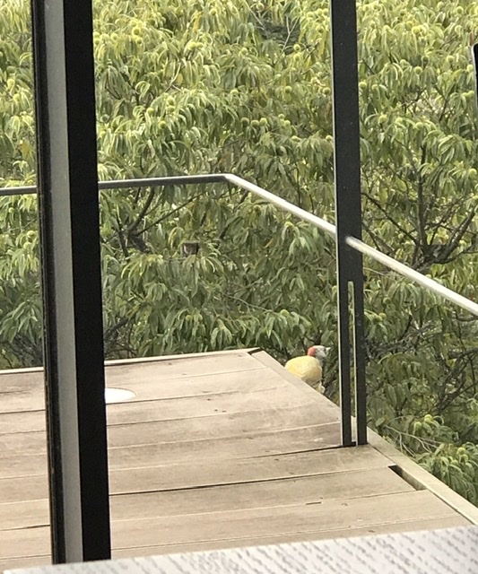 城戸崎博孝先生と再会_d0339896_16343132.jpeg