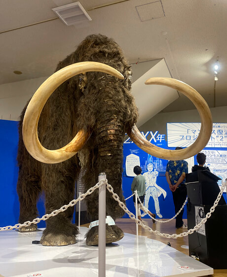 オトナもコ〜フン！永久凍土ってスゴイ！なマンモス展 : Villa Il
